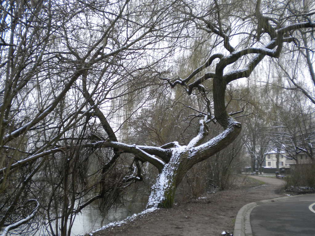 Froid de l'hiver